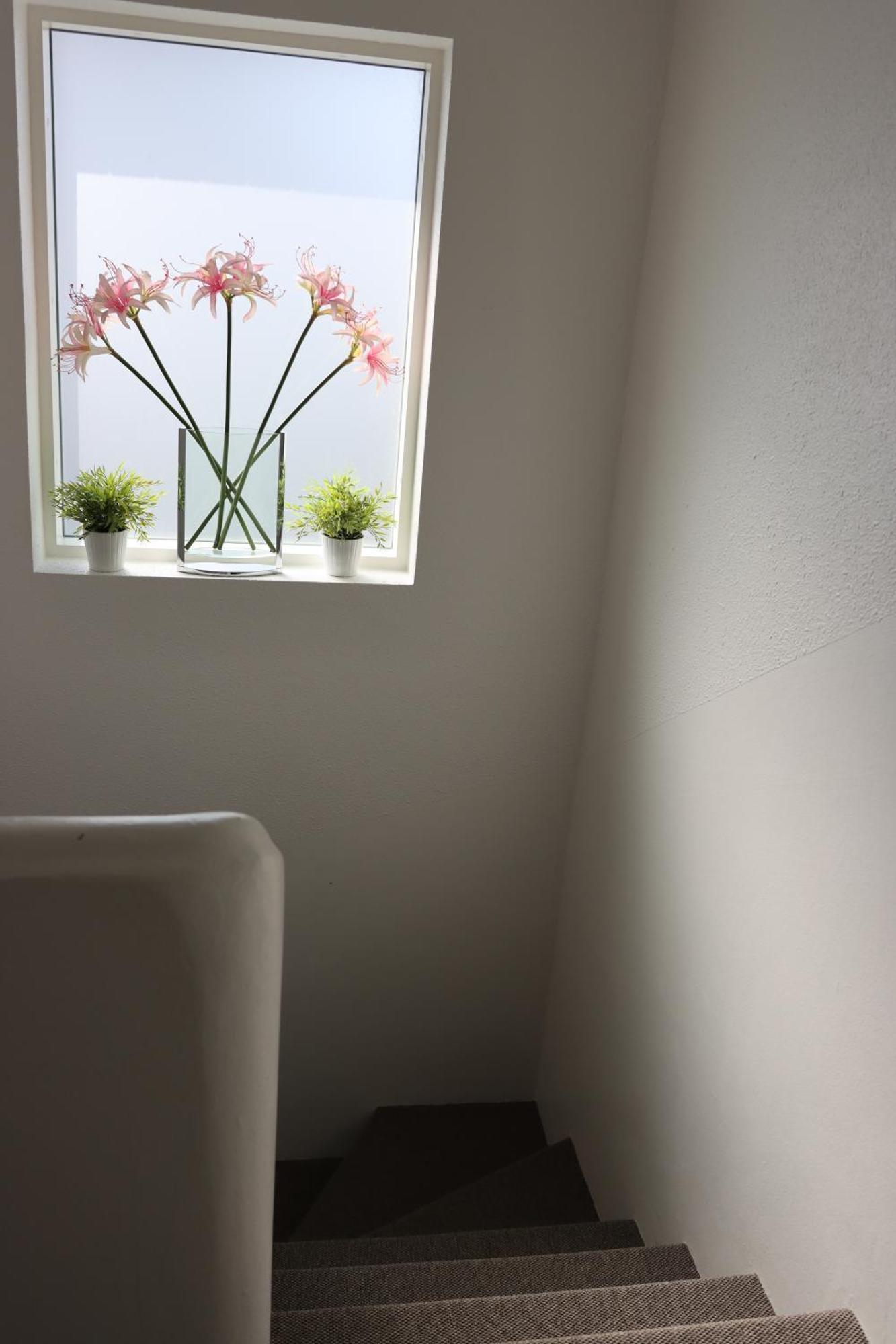 Guesthouse Dyngja Höfn Εξωτερικό φωτογραφία